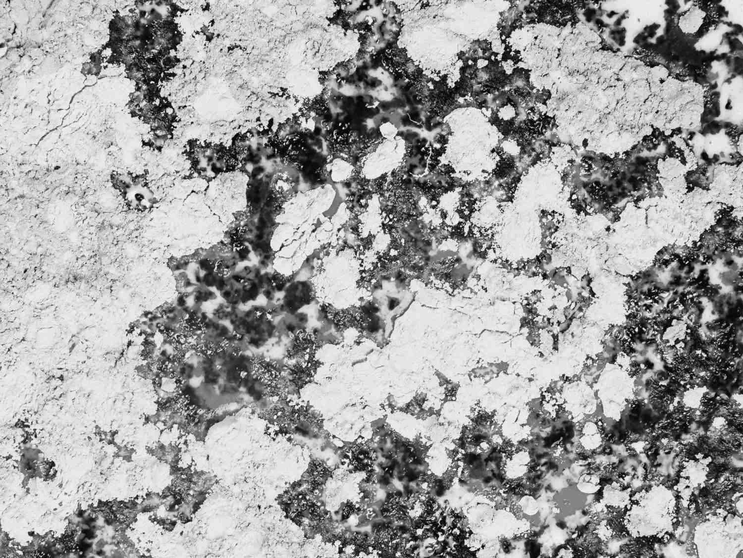 租屋壁癌責任誰承擔?律師帶你解析法律依據!